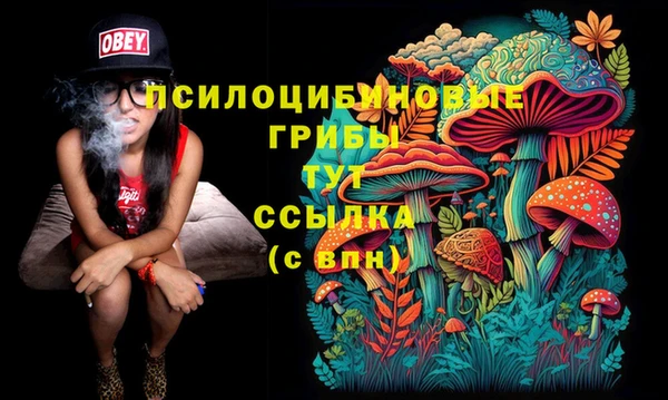 крисы Михайловск