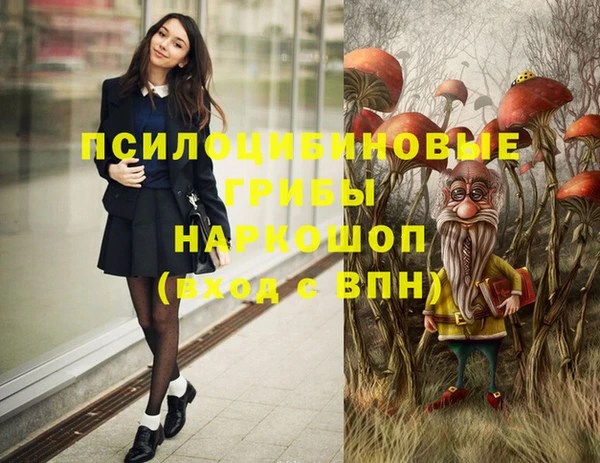 крисы Михайловск