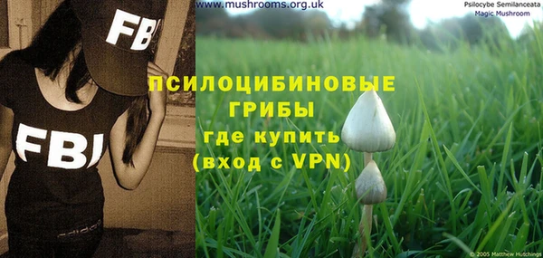MDMA Premium VHQ Михайлов