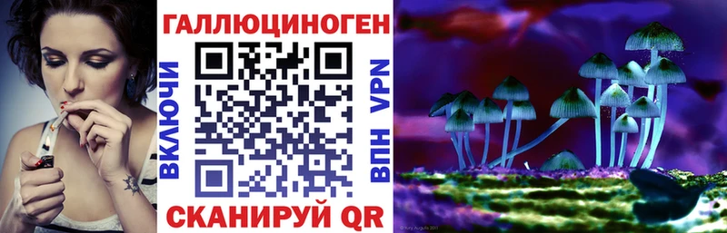 Псилоцибиновые грибы GOLDEN TEACHER  Владивосток 